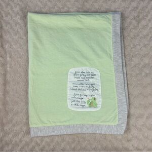 Demdaco Grow Slow Little One Turtle Baby Blanket Green Gray Stripes